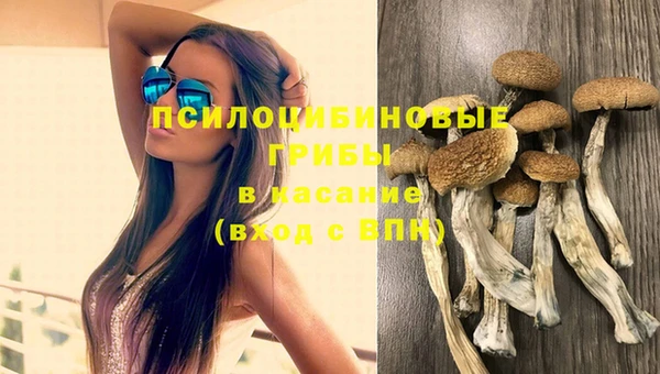 Альфа ПВП Шали