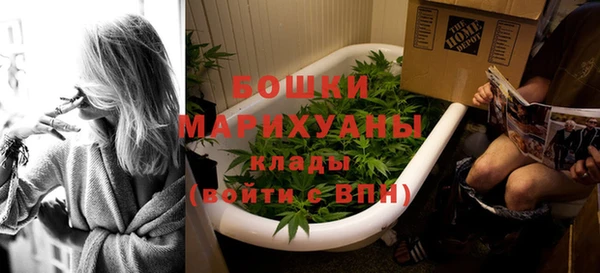 стаф Богданович