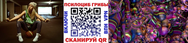 мега как войти  как найти закладки  Берёзовка  Псилоцибиновые грибы ЛСД 