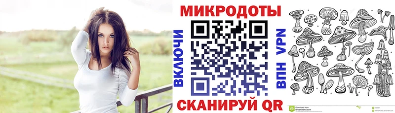 Псилоцибиновые грибы GOLDEN TEACHER Берёзовка